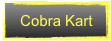 Cobra Kart